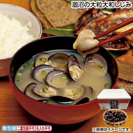 お中元のし付き 涸沼の大粒大和しじみ 800g 御中元 夏ギフト ギフト 贈答