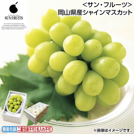 お中元のし付き ＜サン・フルーツ＞岡山県産シャインマスカット 600g（1房） 御中元 夏ギフト ギフト 贈答