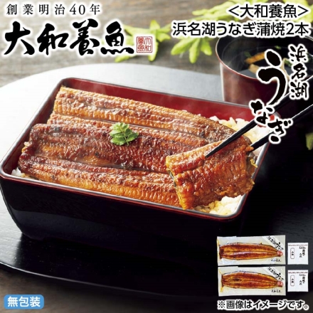 お中元のし付き ＜大和養魚＞浜名湖うなぎ蒲焼2本 御中元 夏ギフト ギフト 贈答