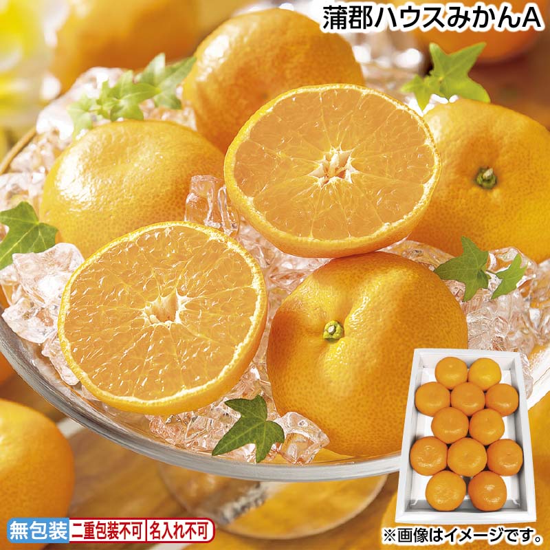 お中元のし付き 蒲郡ハウスみかんＡ 1.2kg（M：12個） 御中元 夏ギフト ギフト 贈答