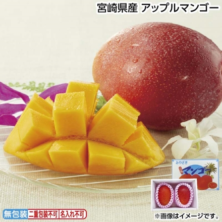 お中元のし付き 宮崎県産マンゴー900ｇ（2個） 900g（2個） 御中元 夏ギフト ギフト 贈答