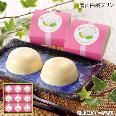 お中元のし付き 岡山白桃プリン 75g×9 御中元 夏ギフト ギフト 贈答