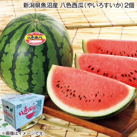 お中元のし付き 新潟県魚沼産 八色西瓜（やいろすいか）2個 御中元 夏ギフト ギフト 贈答