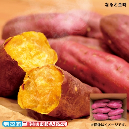 お中元のし付き なると金時 2.5kg 御中元 夏ギフト ギフト 贈答