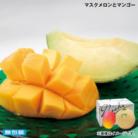お中元のし付き マスクメロンとマンゴー メロン1.5kg/マンゴー350g 各1 御中元 夏ギフト ギフト 贈答