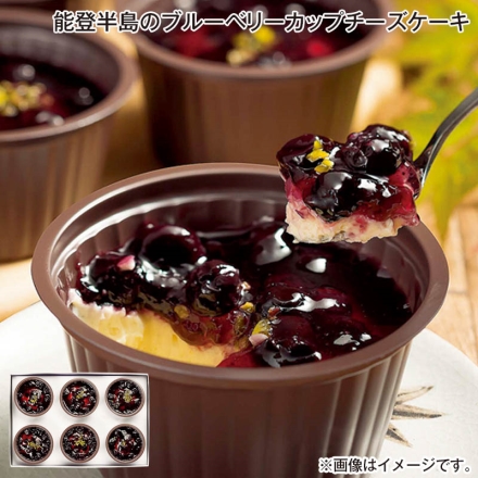 お中元のし付き 能登半島のブルーベリーカップチーズケーキ 6個 御中元 夏ギフト ギフト 贈答
