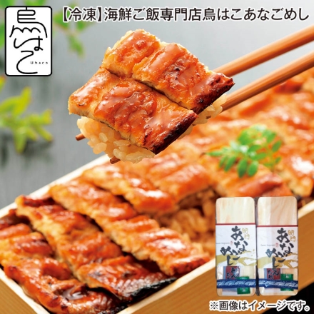 お中元のし付き 冷凍 海鮮ご飯専門店 烏はこあなごめし あなごめし385g（どんたれ・山椒付）×2 御中元 夏ギフト ギフト 贈答