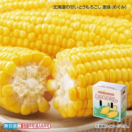 お中元のし付き 北海道の甘いとうもろこし 恵味（めぐみ） 3kg（8本） 御中元 夏ギフト ギフト 贈答