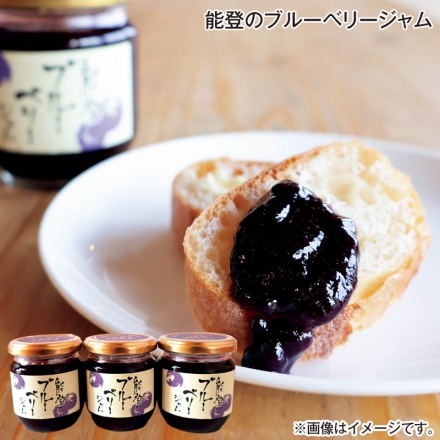 お中元のし付き 能登のブルーベリージャム 180g×3 御中元 夏ギフト ギフト 贈答
