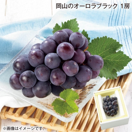 お中元のし付き 岡山のオーロラブラック 1房 御中元 夏ギフト ギフト 贈答