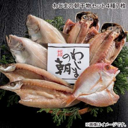 お中元のし付き わじまの朝干物セット4種7枚 御中元 夏ギフト ギフト 贈答