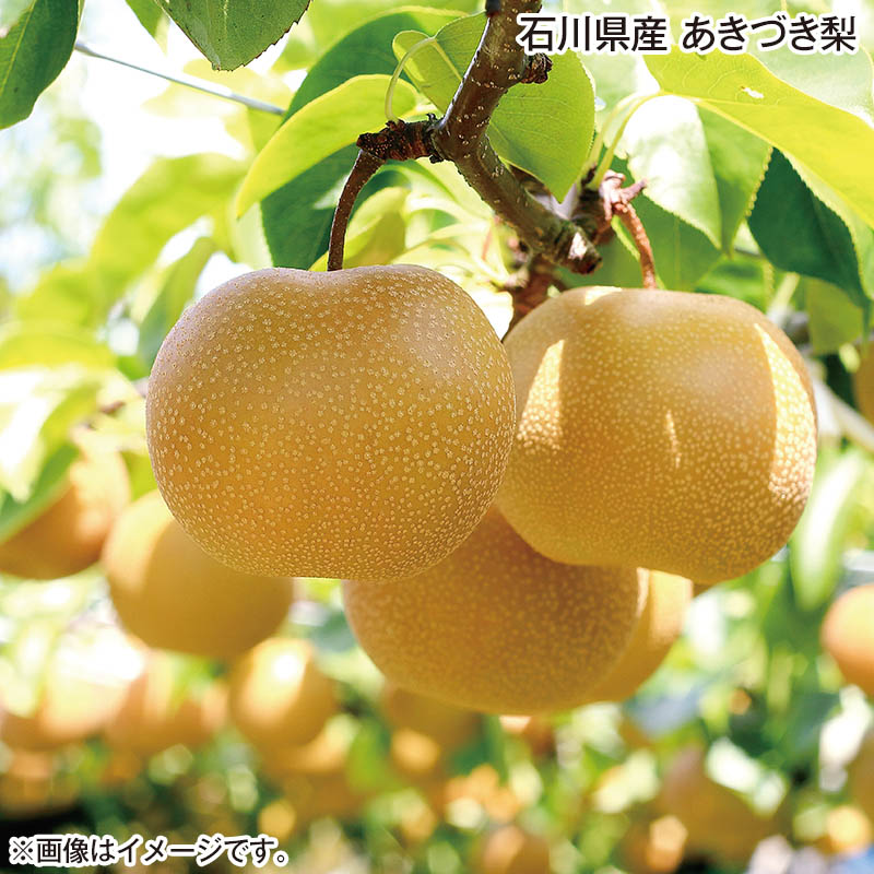 石川県産 あきづき梨 2.3kg（5～8個） 送料込み
