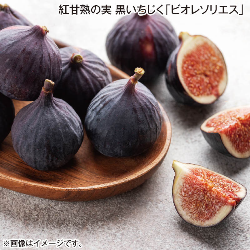 紅甘熟の実 黒いちじく「 ビオレソリエス 」 700g（12個） 送料込み