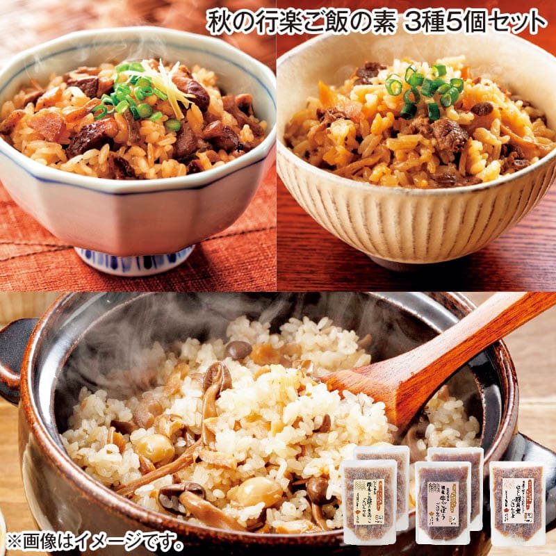 秋の行楽ご飯の素 3種5個セット 送料込み