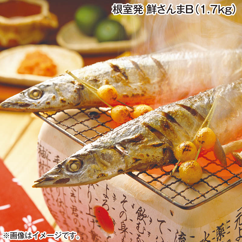 根室発 鮮さんま Ｂ（1.7ｋｇ） 送料込み
