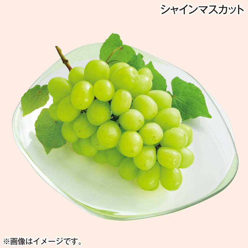シャインマスカット 680ｇ（1房） 送料込み