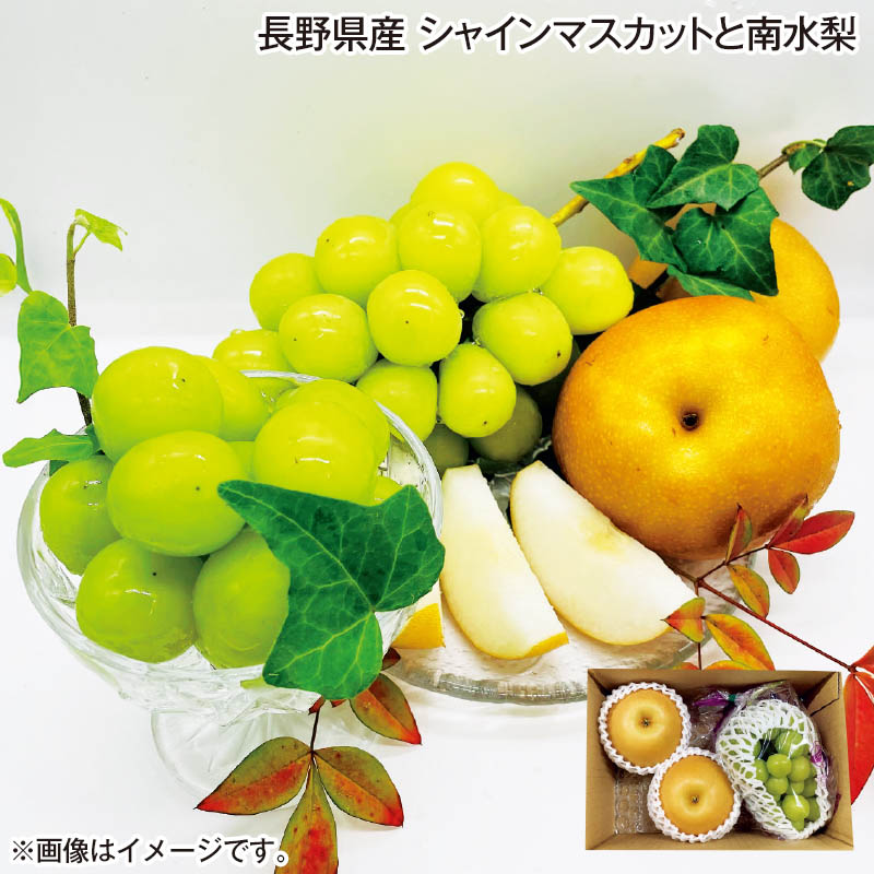 長野県産 シャインマスカットと南水梨 シャインマスカット400ｇ（1房）、南水梨600ｇ（2個） 送料込み