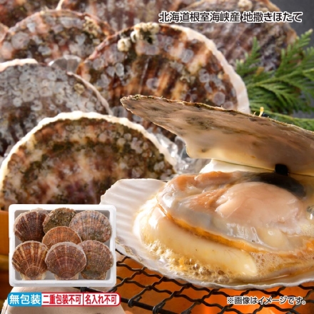 お歳暮のし付き 北海道根室海峡産 地撒きほたて 2kg（6～10枚）、 剥きへら付