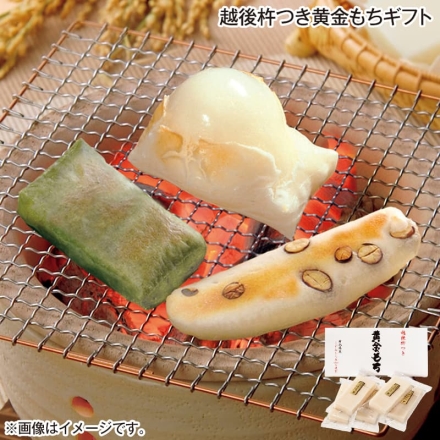 お歳暮のし付き 越後杵つき黄金もちギフト 360g（8切）×5