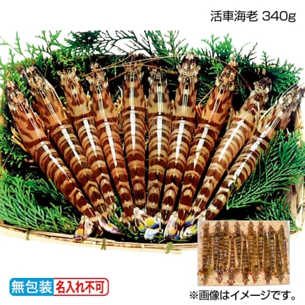 お歳暮のし付き 活車海老 340ｇ