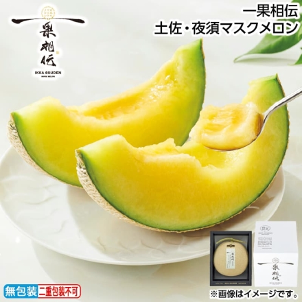 お歳暮のし付き 一果相伝 土佐・夜須マスクメロン 1.6kg