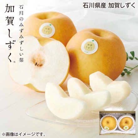 石川県産 加賀しずく 1kg（2個）