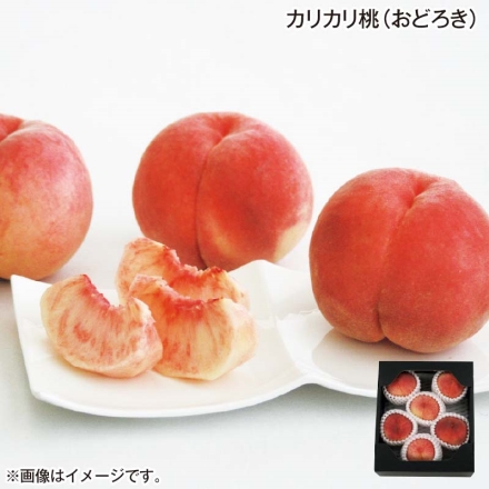 カリカリ桃（おどろき） 1.5kg（3～6個）