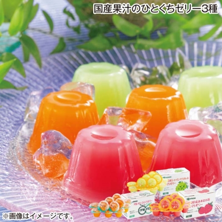 国産果汁のひとくちゼリー3種