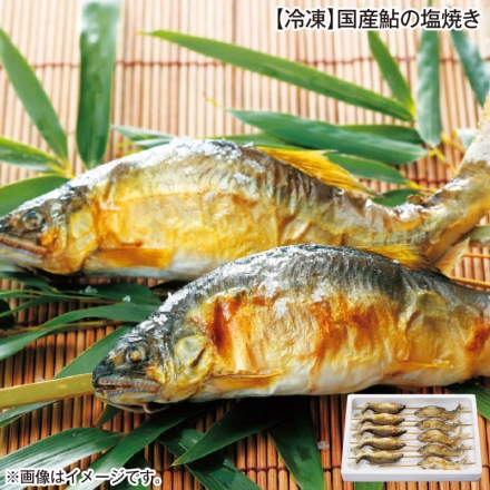 冷凍 国産鮎の塩焼き 10尾