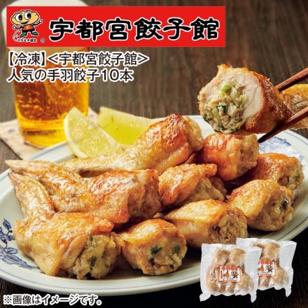 冷凍 ＜宇都宮餃子館＞人気の手羽餃子10本