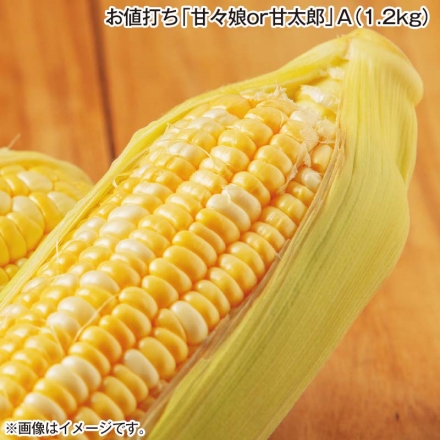 お値打ち「 甘々娘ｏｒ甘太郎 」Ａ（1.2ｋｇ）