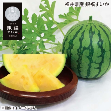 福井県産 銀福すいか 1.4kg（1個）