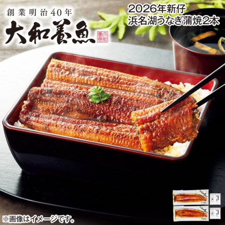 2026年新仔 浜名湖うなぎ蒲焼2本
