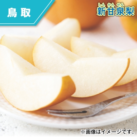 新甘泉梨 3kg（5～12個）