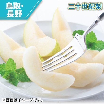 二十世紀梨 3kg（5～12個）