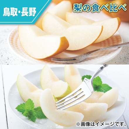 梨の食べ比べ 3kg（新甘泉梨・二十世紀梨 各3～6個）
