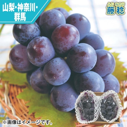 藤稔 900g（2～3房）