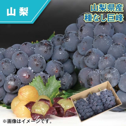 山梨県産 種なし巨峰 1.6kg（3～4房）