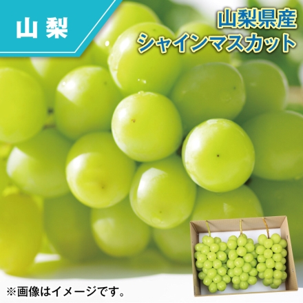 山梨県産 シャインマスカット 1.5kg（2～4房）