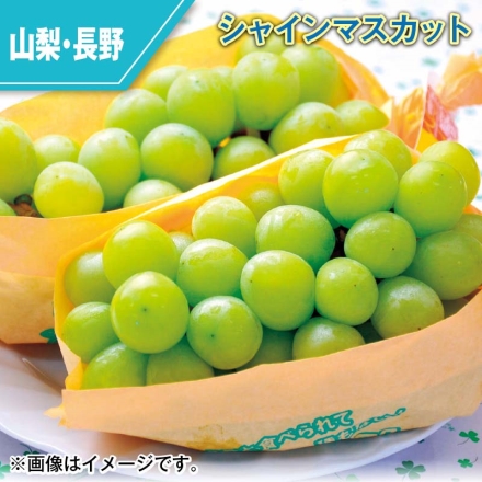シャインマスカット 1.1kg（2～3房）