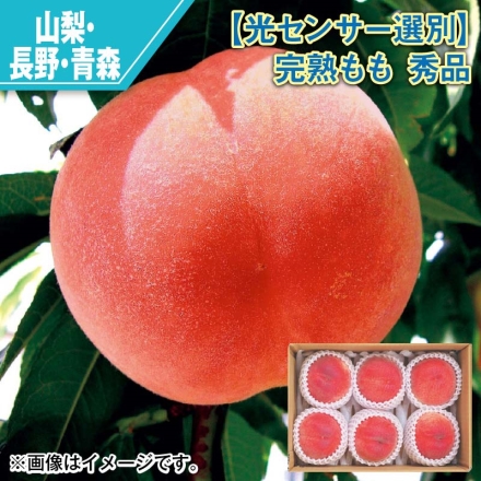光センサー選別 完熟もも 秀品 1.6kg（5～7個）