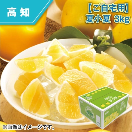 ご自宅用 夏小夏 3ｋｇ