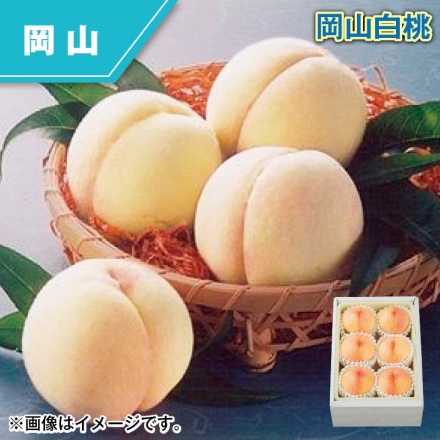 岡山白桃 1.4kg（5～7個）