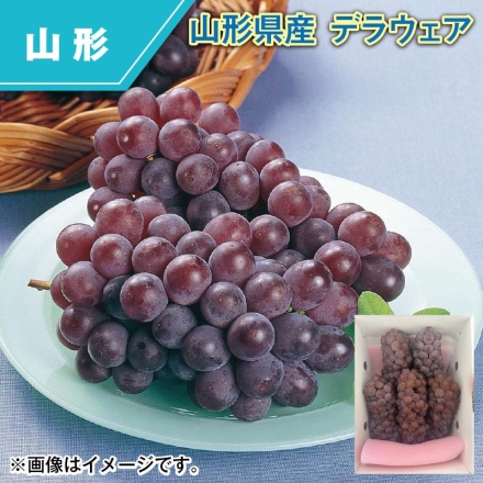 山形県産 デラウェア