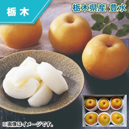 栃木県産 豊水 2kg（4～7個）
