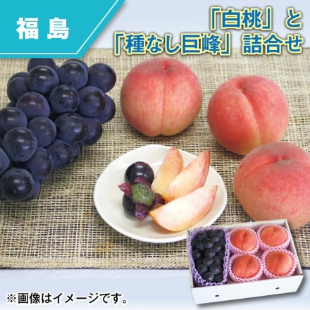 「 白桃 」と「 種なし巨峰 」詰合せ 白桃900g（秀：3～4個）、種なし巨峰400g（秀：1房）