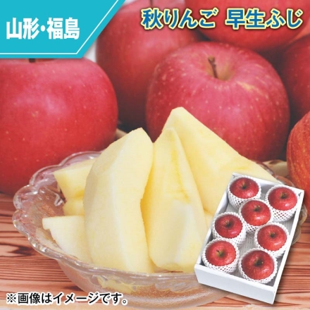 秋りんご 早生ふじ 2kg（6～8個）