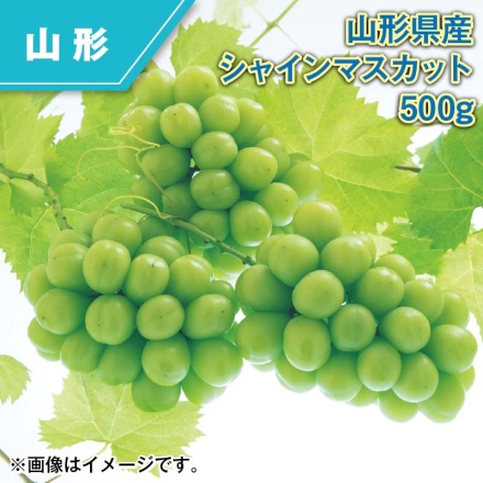 山形県産 シャインマスカット 500ｇ 500g（1房）