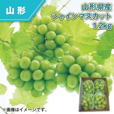 山形県産 シャインマスカット 1.2ｋｇ 1.2kg（3～4房）