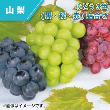ぶどう3色（黒・緑・赤）詰合せ